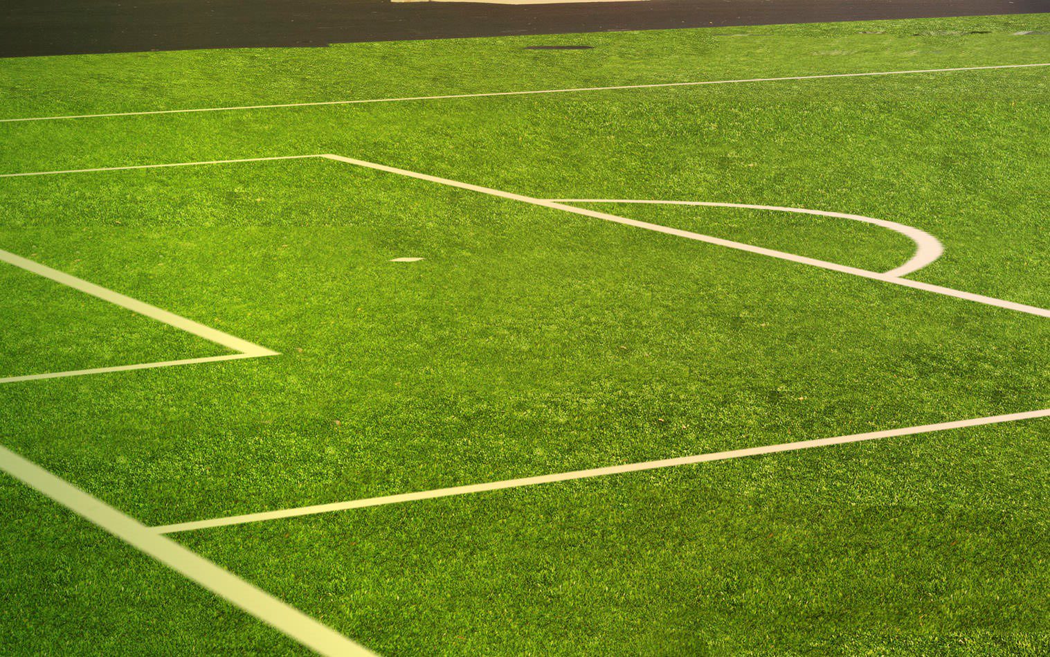 Sports Fields Turf